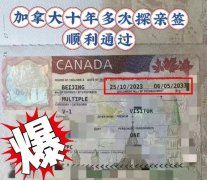 加拿大探親簽順利通過，附申請+簡化材料攻略